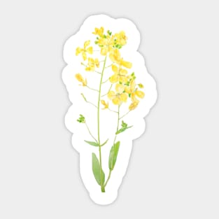 yellow wildflowers Sticker